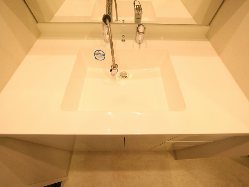 ＴＨＥ　ＳＡＫＡＥ　ＲＥＳＩＤＥＮＣＥ 洗面所