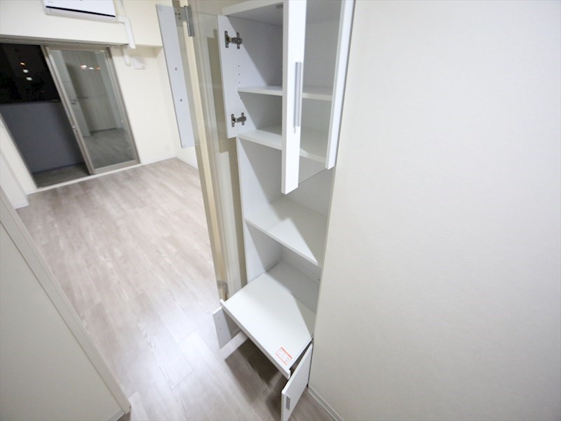 Ｔｈｅ　Ｆｉｒｓｔ　Ｏｎｅ金山 その他