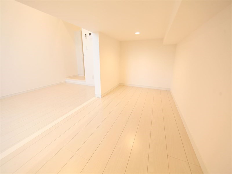 ルミエール十一番町 その他部屋・スペース