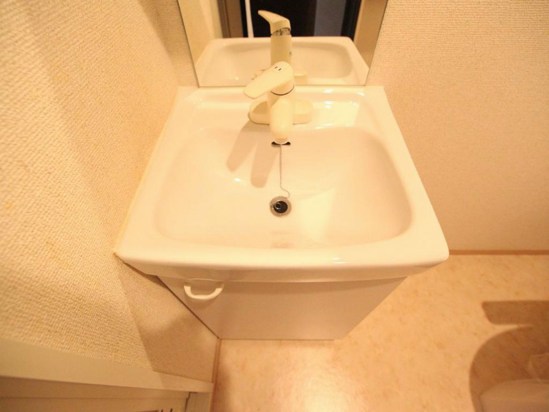 プレサンスｍｉｕ新栄（プレサンスミュー新栄） 洗面所