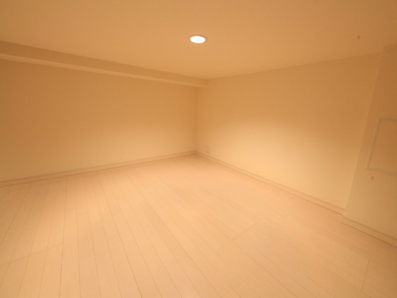 メゾンラフィネ その他部屋・スペース