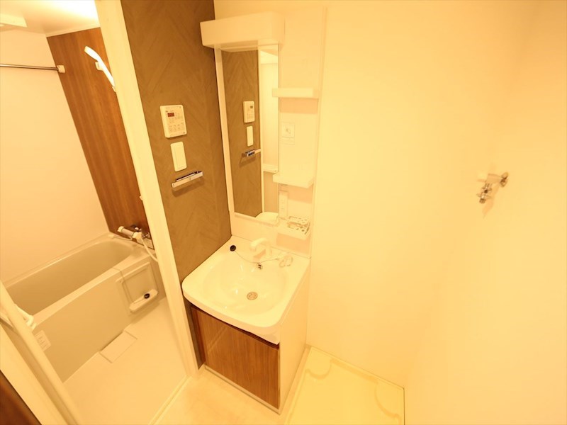 Ｓ－ＲＥＳＩＤＥＮＣＥ堀田Ｎｏｒｔｈ 洗面所