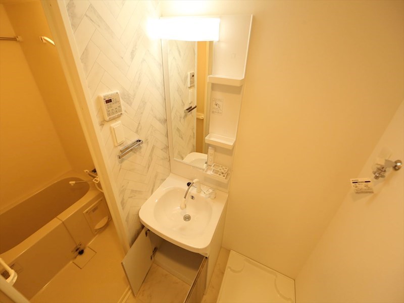 ＳーＲＥＳＩＤＥＮＣＥ堀田ＮｏｒｔｈII 洗面所