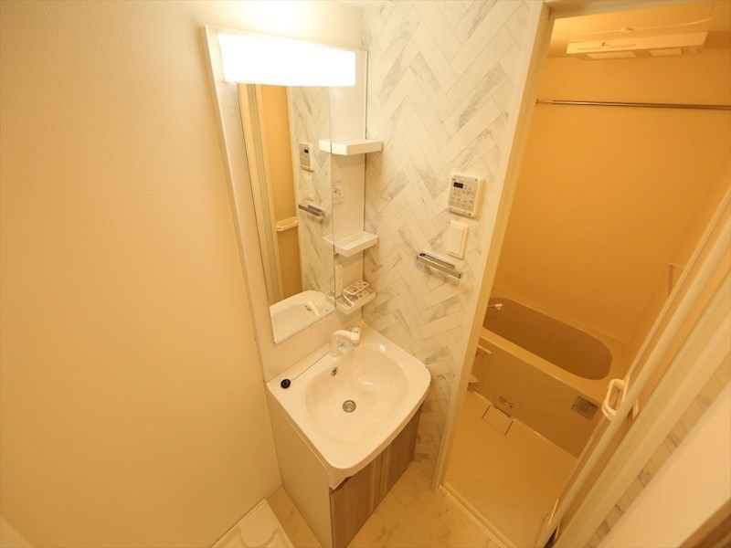 ＳーＲＥＳＩＤＥＮＣＥ堀田ＮｏｒｔｈII 洗面所