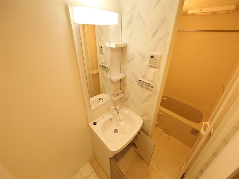 ＳーＲＥＳＩＤＥＮＣＥ堀田ＮｏｒｔｈII 洗面所
