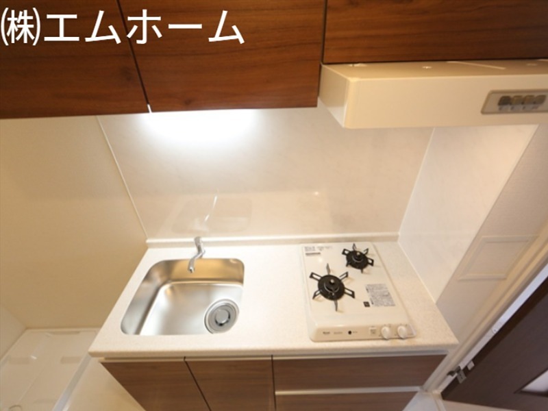 Ｃｅｒｔｏｖｉｔａ（チェルトヴィータ） その他