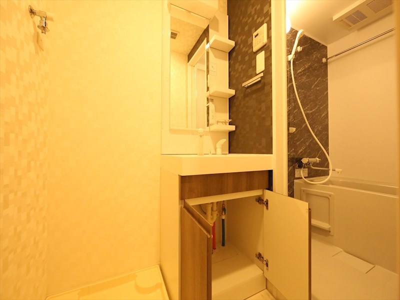 Ｓ－ＲＥＳＩＤＥＮＣＥ金山三丁目 洗面所