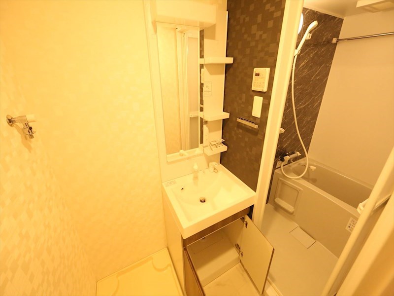 Ｓ－ＲＥＳＩＤＥＮＣＥ金山三丁目 洗面所