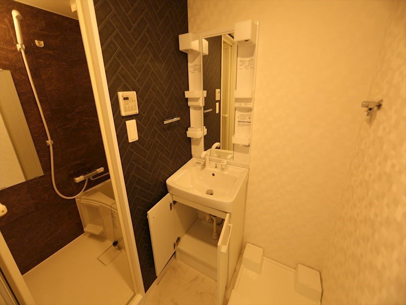 Ｓ－ＲＥＳＩＤＥＮＣＥ上前津Ｓｏｕｔｈ 洗面所