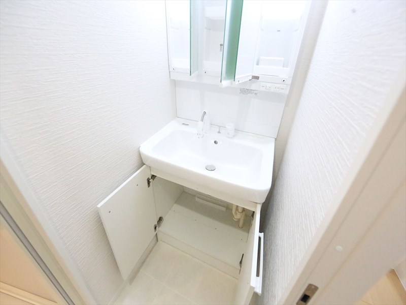 プリミエール東水切町II 洗面所