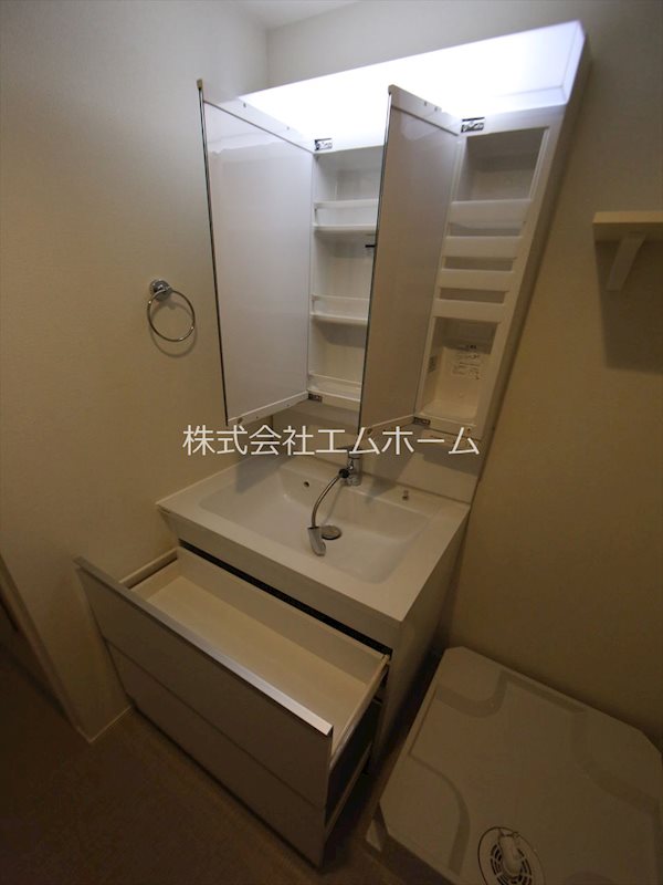 ハーモニーテラス山木II 洗面所