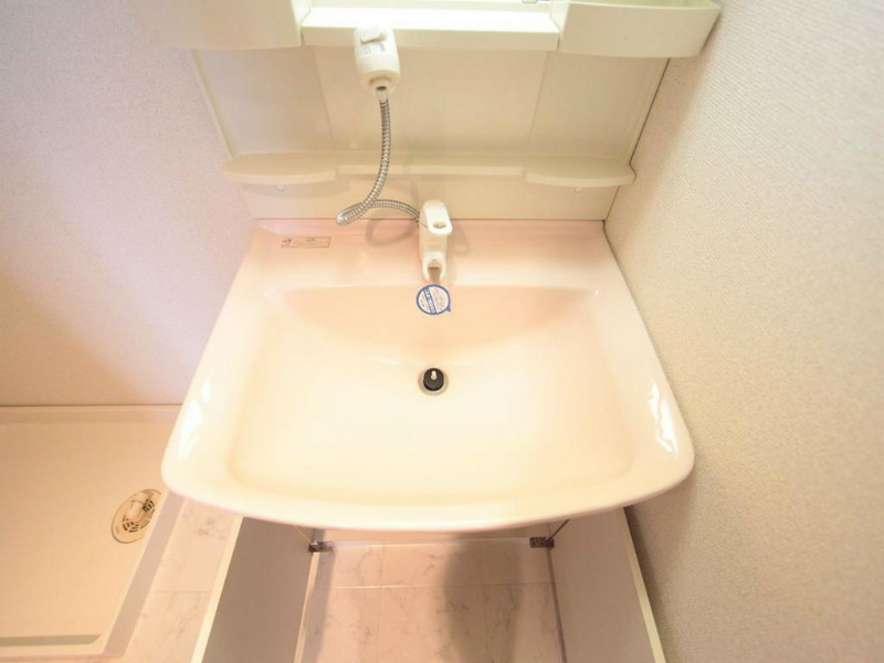 エクセレントみずの 洗面所