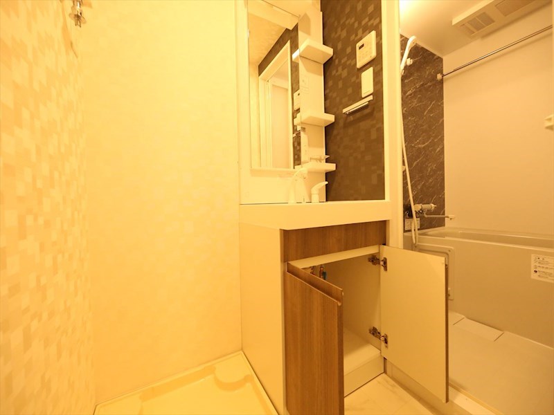 Ｓ－ＲＥＳＩＤＥＮＣＥ金山三丁目 洗面所