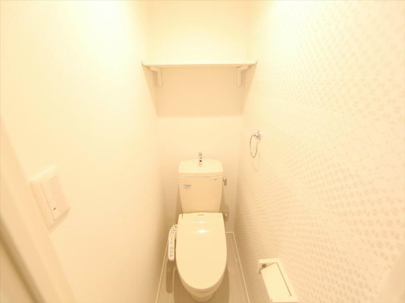 Ｍａｉｓｏｎ　Ｌａｆｒｅ（メゾンラフレ） トイレ