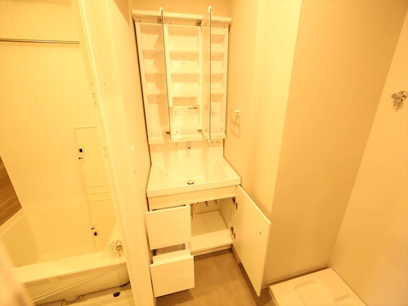 The 9th Residence Sakae Side 洗面所