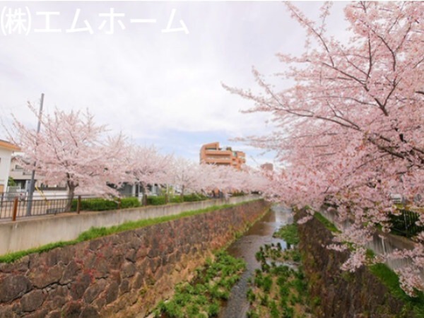 エミネンス石川橋 眺望