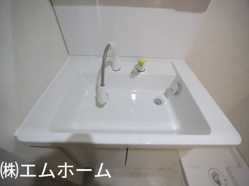 ポルタニグラサウス 洗面所