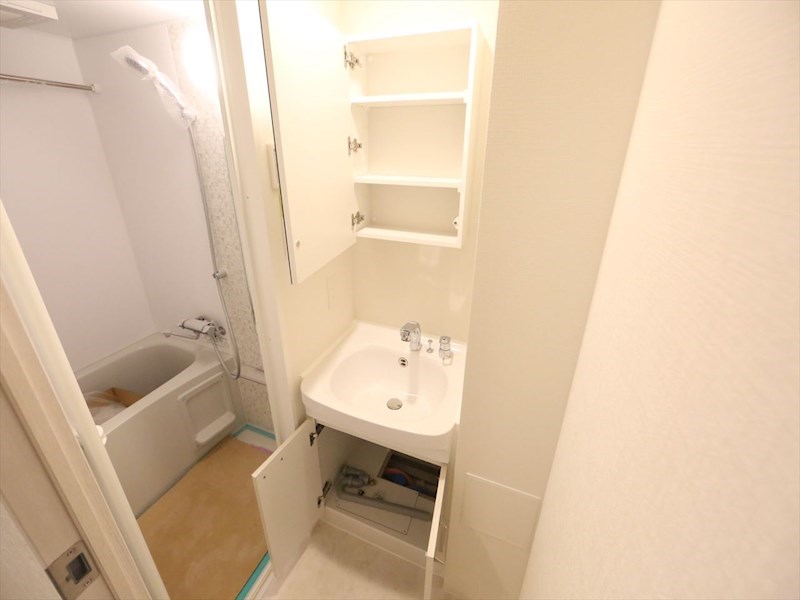 エスリード大須プレシア 洗面所
