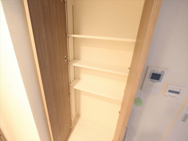 プレサンス丸の内城雅 収納