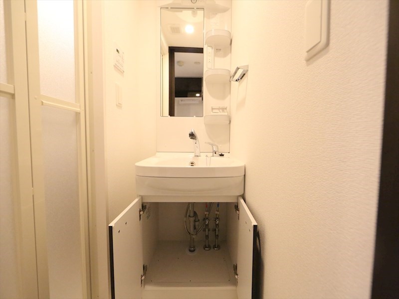 エステムコート名古屋新栄IIIグローリィ 洗面所
