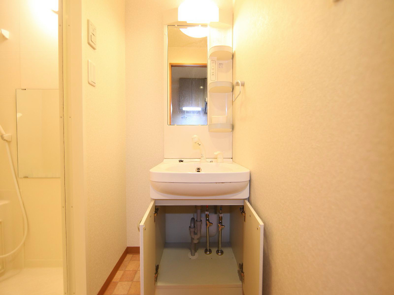 リアライズ代官町 洗面所