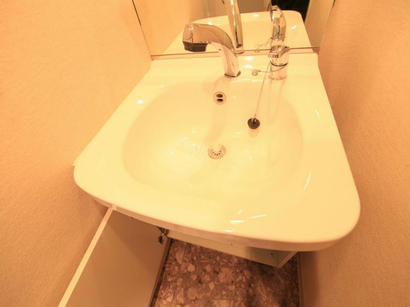 プレサンスＮＡＧＯＹＡ桜通ビッグビート 洗面所