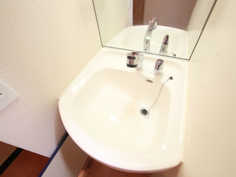 プレサンス名古屋ＳＴＡＴＩＯＮビーフレックス 洗面所