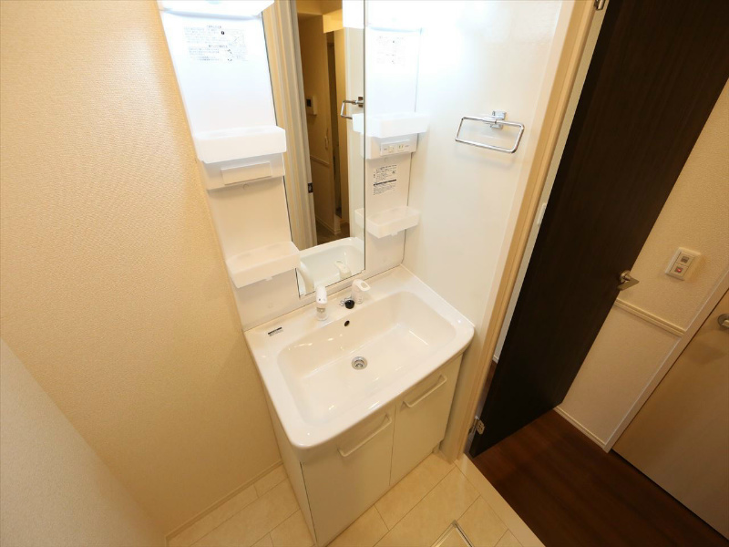 Ｄ－ｒｏｏｍ岩塚 洗面所
