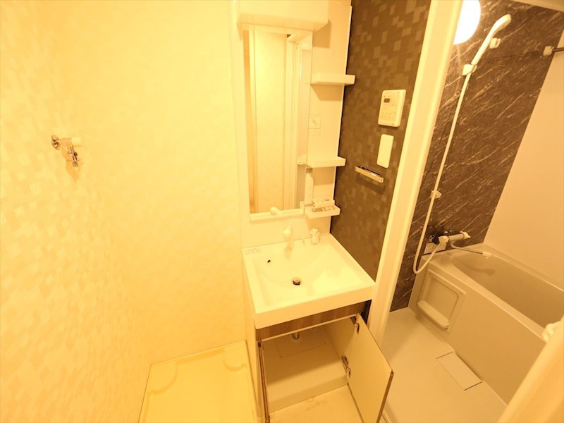 Ｓ－ＲＥＳＩＤＥＮＣＥ金山三丁目 洗面所