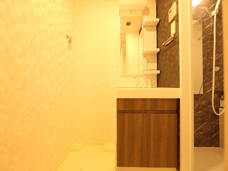 Ｓ－ＲＥＳＩＤＥＮＣＥ金山三丁目 洗面所
