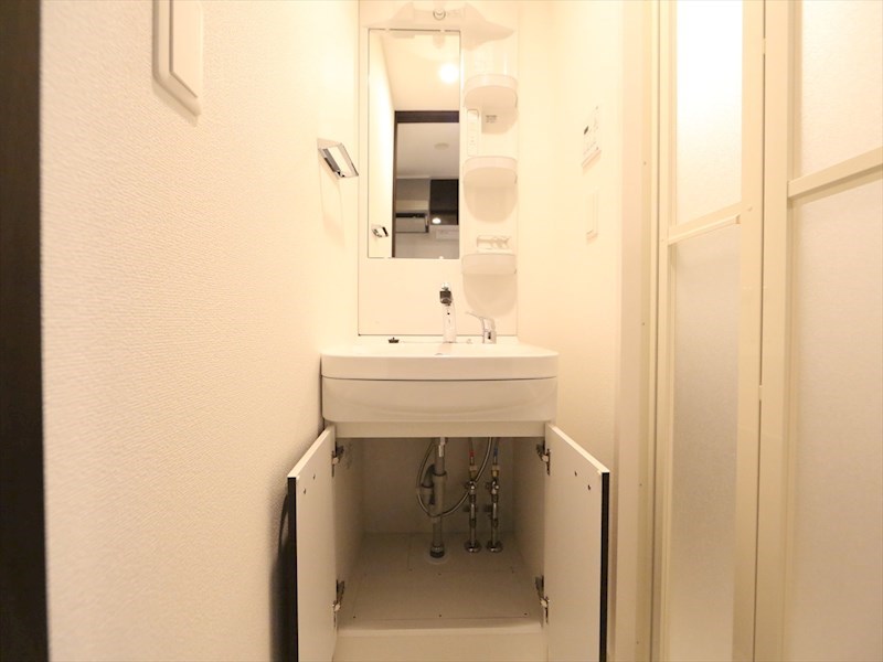 エステムコート名古屋新栄IIIグローリィ 洗面所