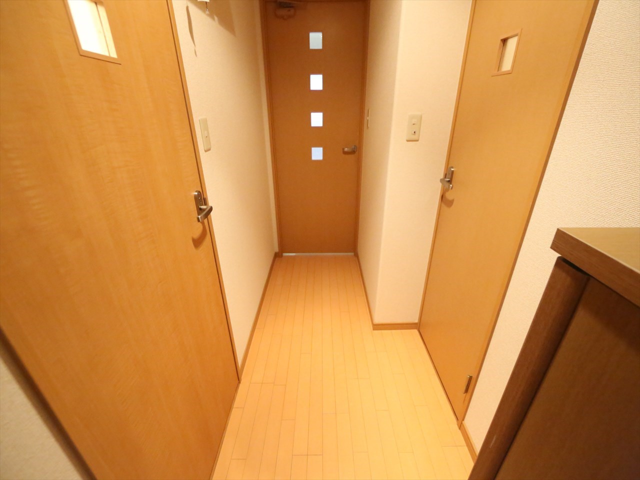 セレブランド堀田駅前 その他