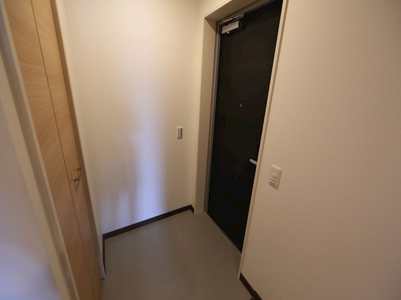 Ｎａｐａｒｔｍｅｎｔ（Ｎアパートメント） 玄関