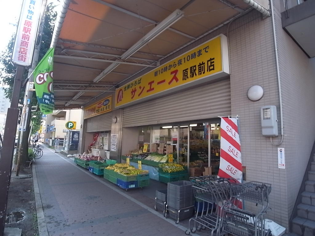 ザ・レジデンス原 スーパー