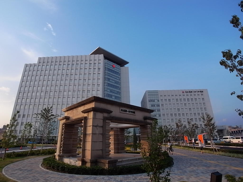 リブリ・アルバ中村公園 総合病院