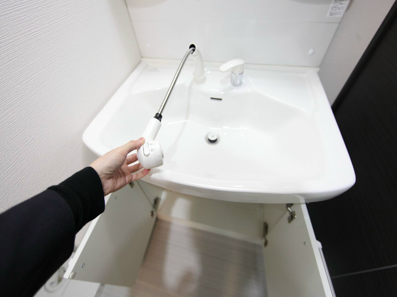 ヒルサイドコート 洗面所