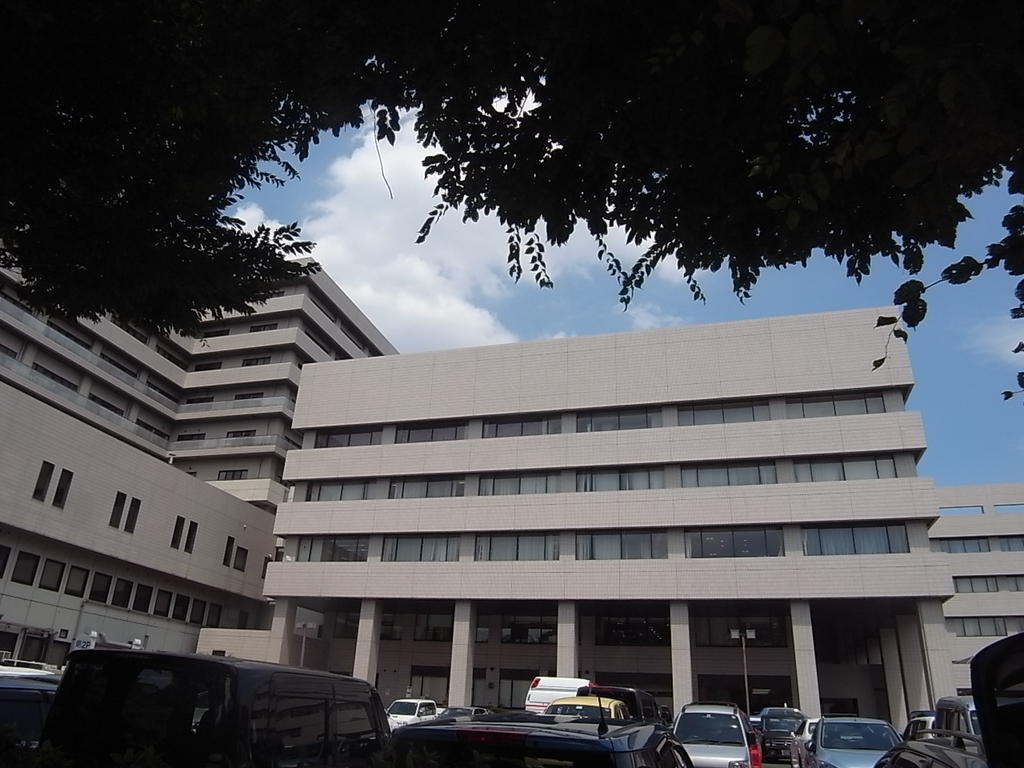 ハーモニーテラス大杉町Ⅱ 総合病院
