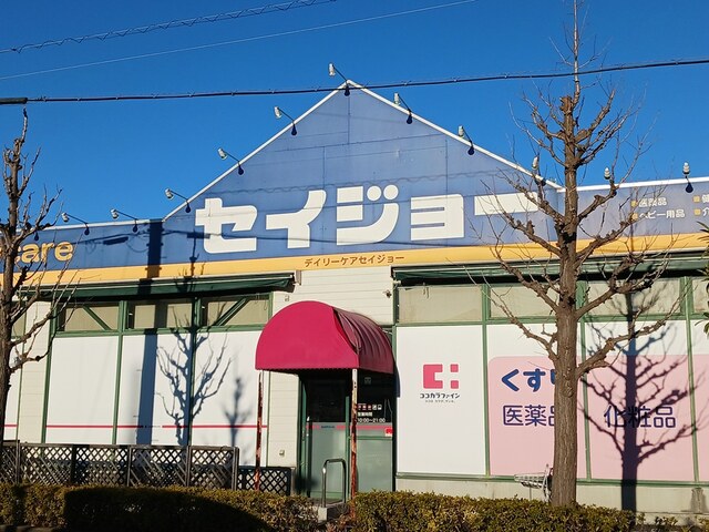 ヒカルサ川口芝西 その他