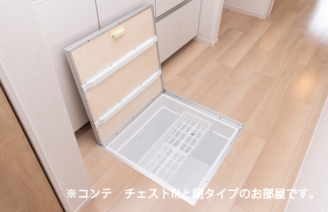 ヒカルサ川口芝西 収納
