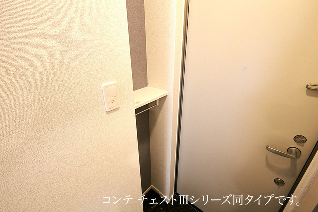 サピーⅡ その他