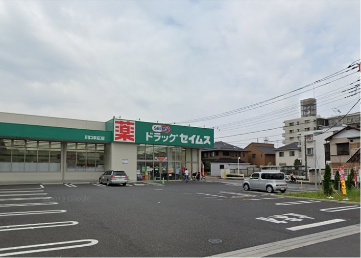 サピーⅡ ドラッグストア
