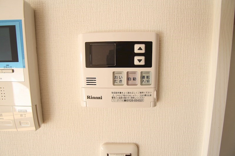 Elvita その他