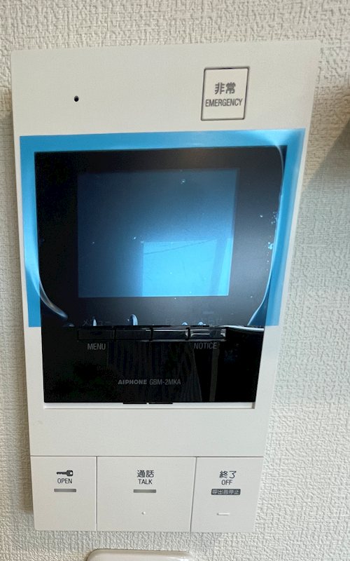 リッチグレイス セキュリティ