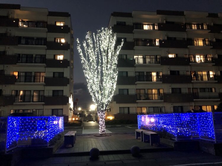 T-one MIYAHARA 　West B 眺望