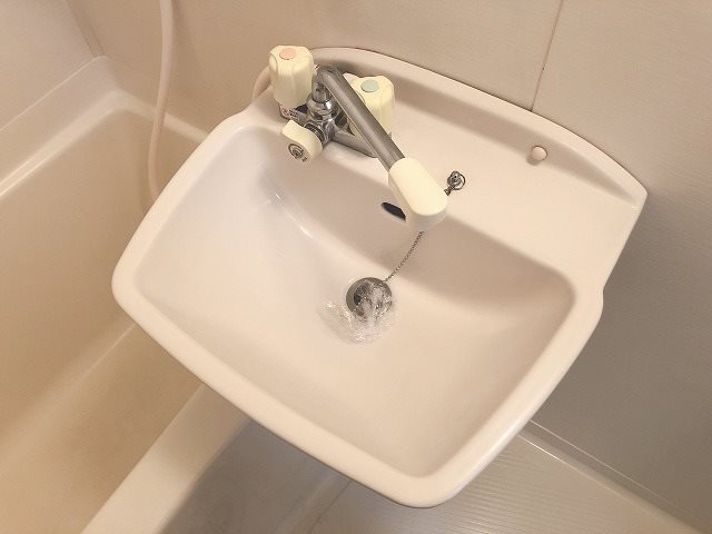 Surplus岡田 洗面所