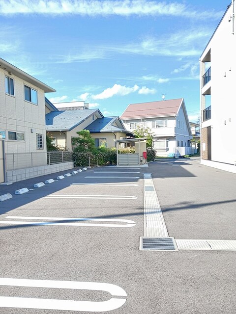 アガパンサス　Ⅱ 駐車場