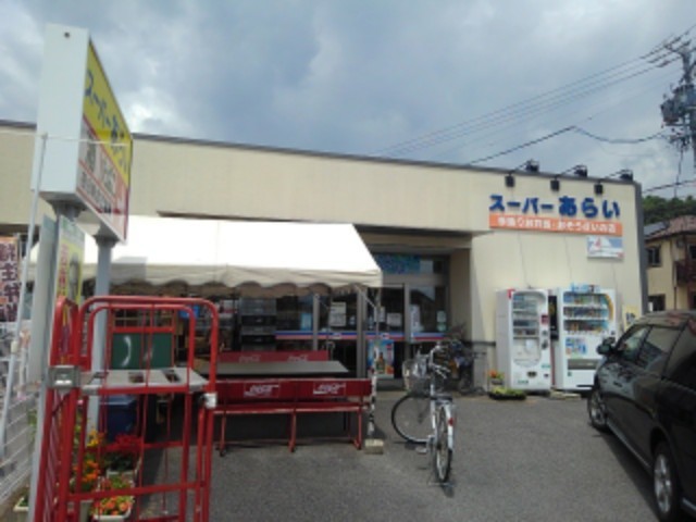 ルクソール その他