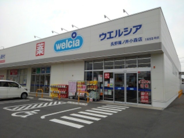 ランデックスＫ その他