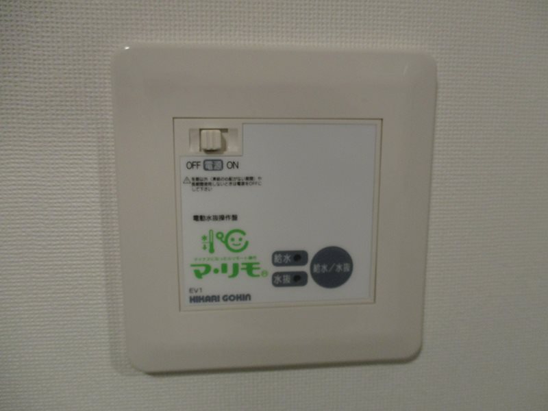 コスモス・ワン その他