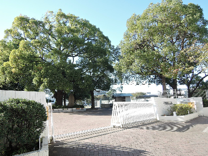 カフルイアパートメント 周辺画像6